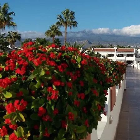 Bright With Pool In Tenerife South Costa Del Silencio